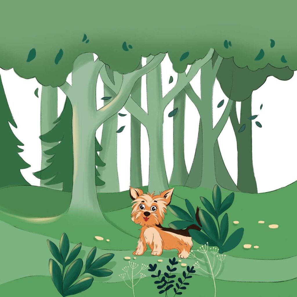 699f030001b0cf73dbf00837_childrens-book-illustration-yorkie-puppy-green-forest